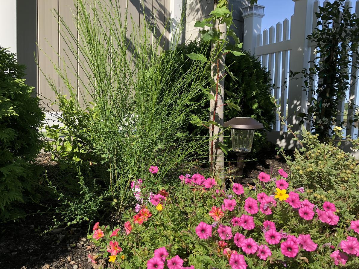 Family Rooms In Salem Boston 索格斯镇 外观 照片